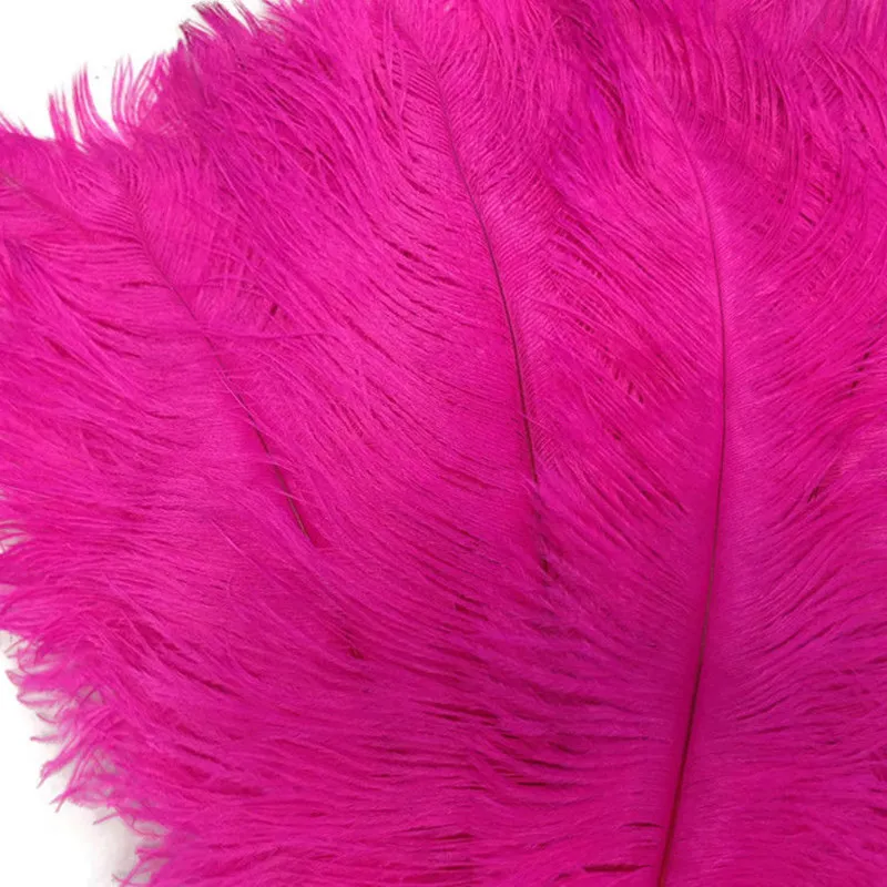 10pcs/lot 15-70CM Rose Red Ostrich Feather Costume Wedding Decoration Feathers Supplies Carnival Dancer Plumage | Дом и сад