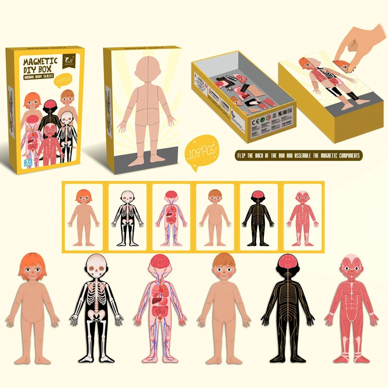 Детские Магнитные Головоломки для когнитивного развития человеческого тела