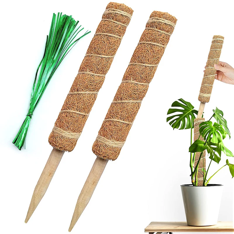 

Reusable Plant Climbing Stand Durable Flower Plants Support for Balcony Garden Courtyard Easy to Use JW