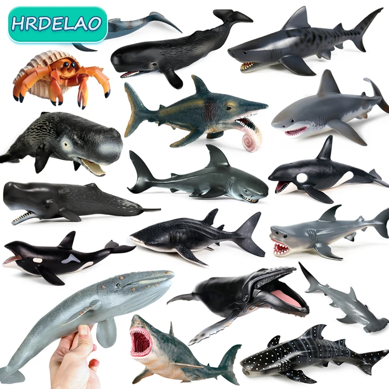 HOT Simulation Sea Life Animals Model Whale Dolphin Shark Action Figures Collecting Figurines Educational toys for children Gift