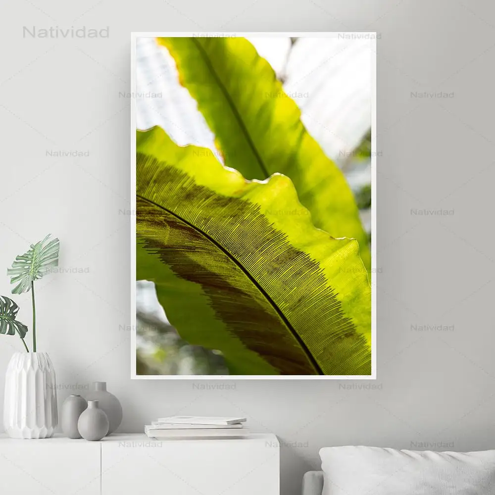 Настенная картина с зелеными монстерами бананами пальмами листьями настенная