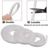 220V RGB Neon Strip Light 120Ledm 5050 RGB LED Strip Flexible Led Rope Indoor Outdoor Decor with Waterproof 1500W controller