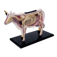 4D коровья анатомическая модель, съемные 29 частей, биология животных, модель животных, набор для обучения медицине