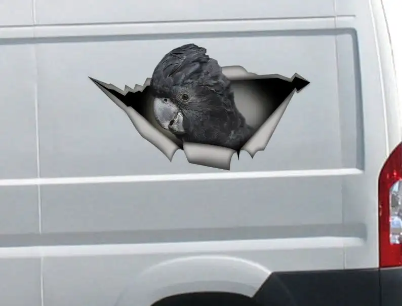 

2021 Black Cockatoo car decal, parrot decal, Black Cockatoo sticker