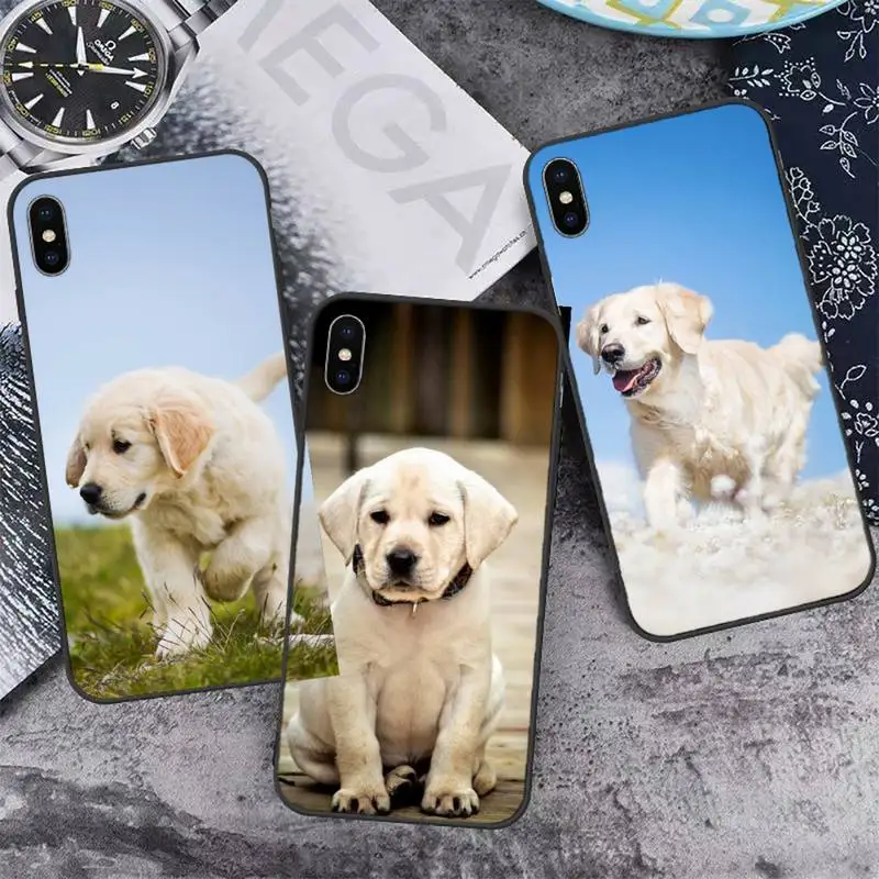 

Labrador Puppies Dog cute animal Phone Case For iphone 12 11 13 7 8 6 s plus x xs xr pro max mini shell