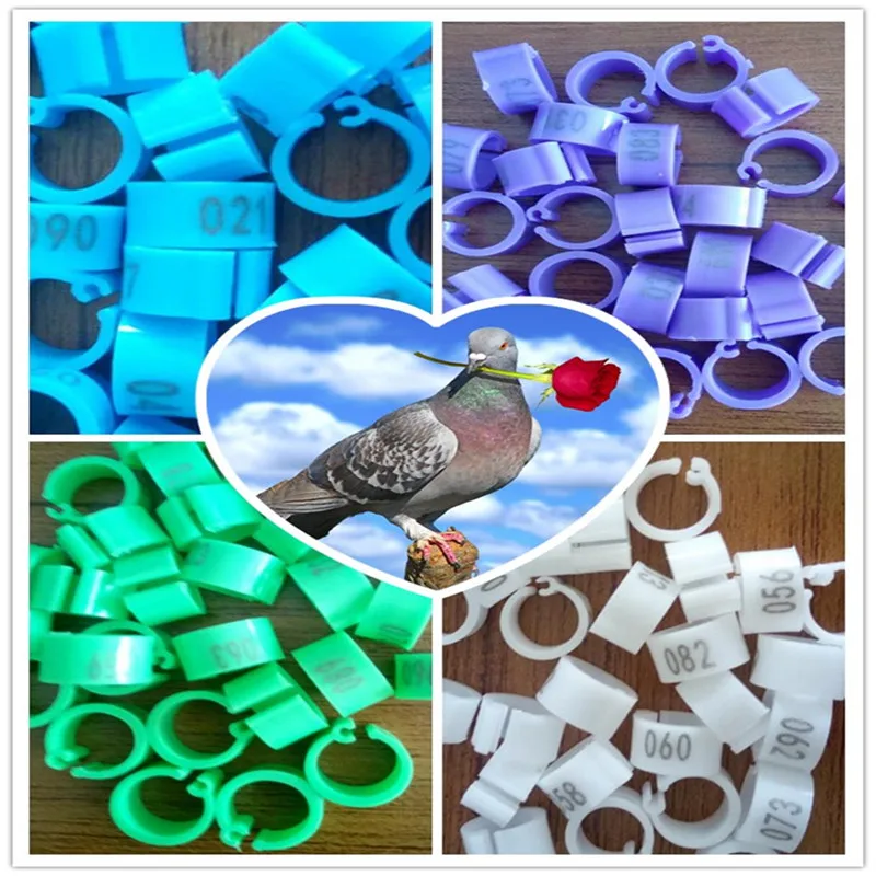 Высокое качество Senven Цвета цифровой кольцо для лапки голубя 8 мм DoveBayonet