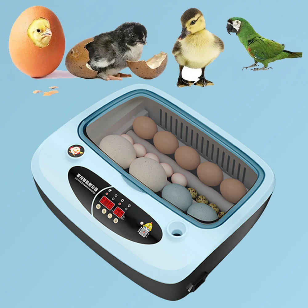 

Egg Incubator Automatic 110V/220V Brooder Fully Automatic Incubation Equipment Fully Automatic Commercial Hatching Machine