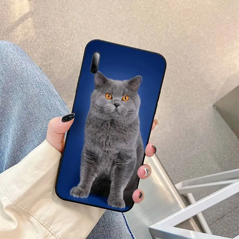 

Cute british shorthair cat Phone Case For Redmi Note 10 8 9 K20 6 5a promaxCover Fundas Coque
