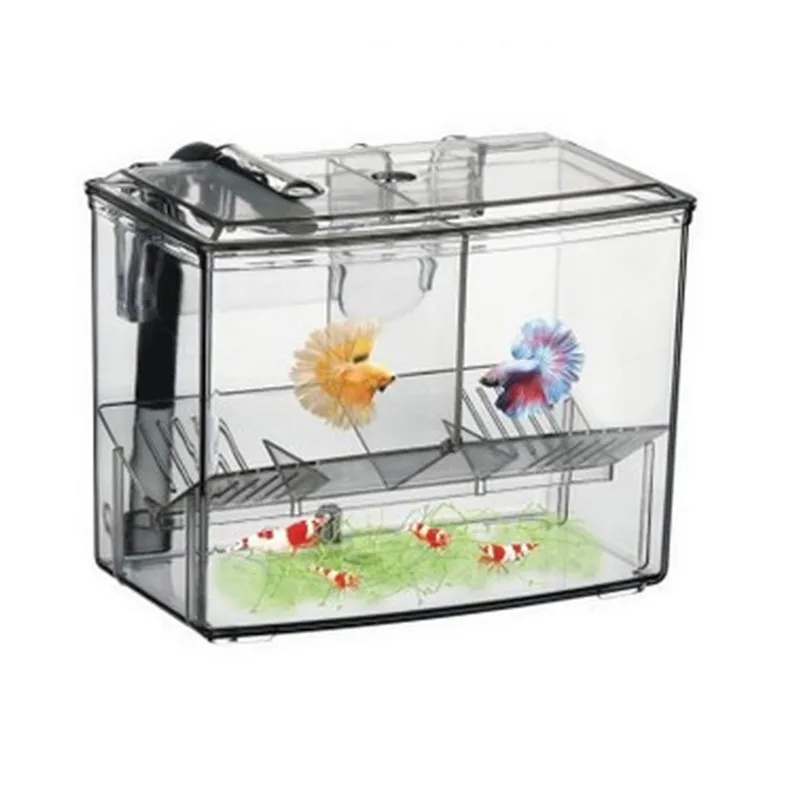 Акриловый прозрачный рыбоводства коробка с двойным Гуппи инкубационное