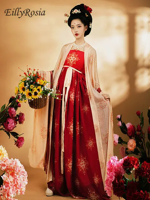 

EillyRosia Tang Dynasty Hanfu Female Summer Dress Big Sleeved Cape Ancient Costume Gowns Cosplay Dobe Fairy Chinese Dress