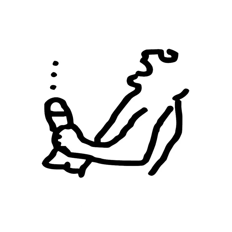 Забавные забавные индивидуальные наклейки из ПВХ автомобильные на пенис семян