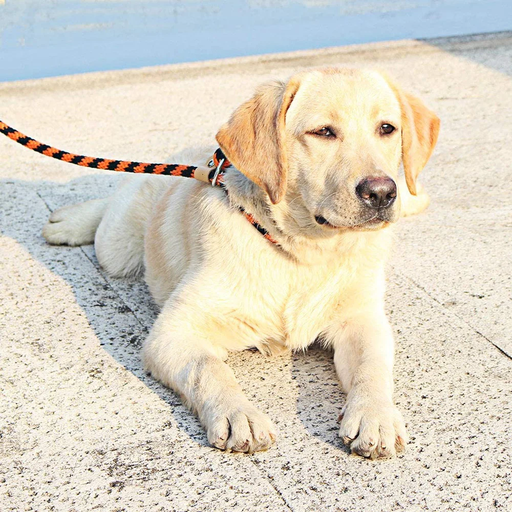 Поводок для собак плетеная веревка скользящий и защелкивающийся крючок прочный