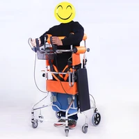 Multifunctional Toilet Standing Walking Aid Stroke Hemiplegic Rehabilitation Training Anti Roll Brackets Walker Stand Frame