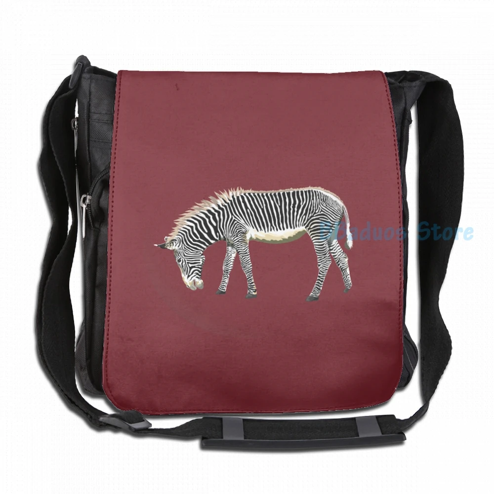 Забавный рюкзак с графическим принтом Be A Zebra USB-зарядкой мужские школьные сумки