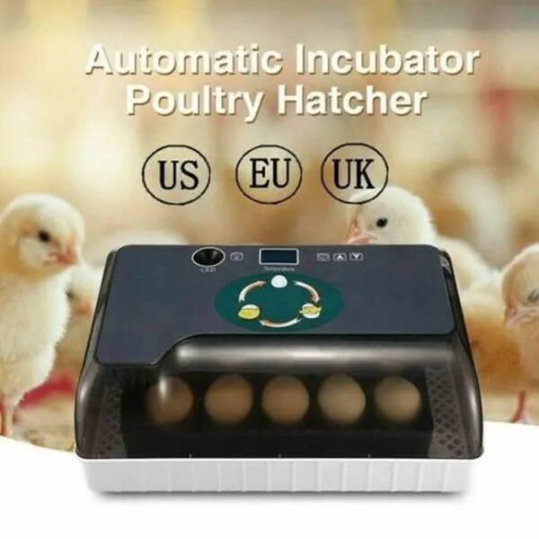 

Egg Incubator Digital Fully Automatic 12 Eggs Poultry Hatcher for Chickens Ducks K9Store