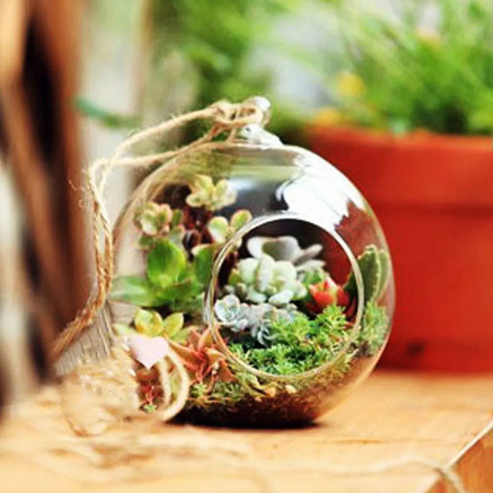 10 шт. декоративный шар в форме шара Прозрачная подвесная стеклянная ваза