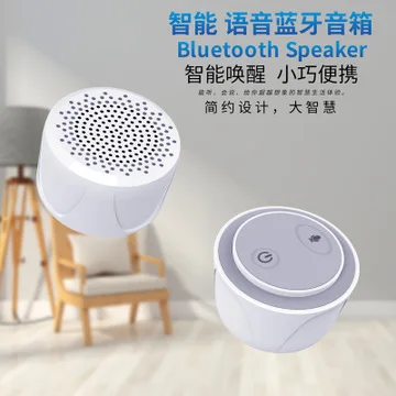 Портативная беспроводная мини-колонка с Bluetooth водонепроницаемый сабвуфер умным