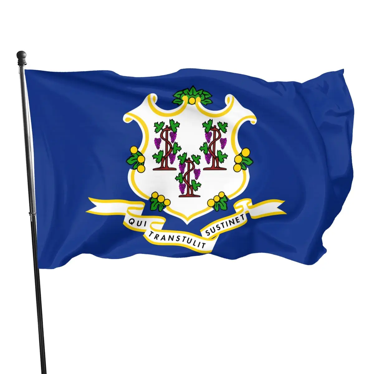 

90x150cm Connecticut Flag Interior And Exterior Decoration Banner