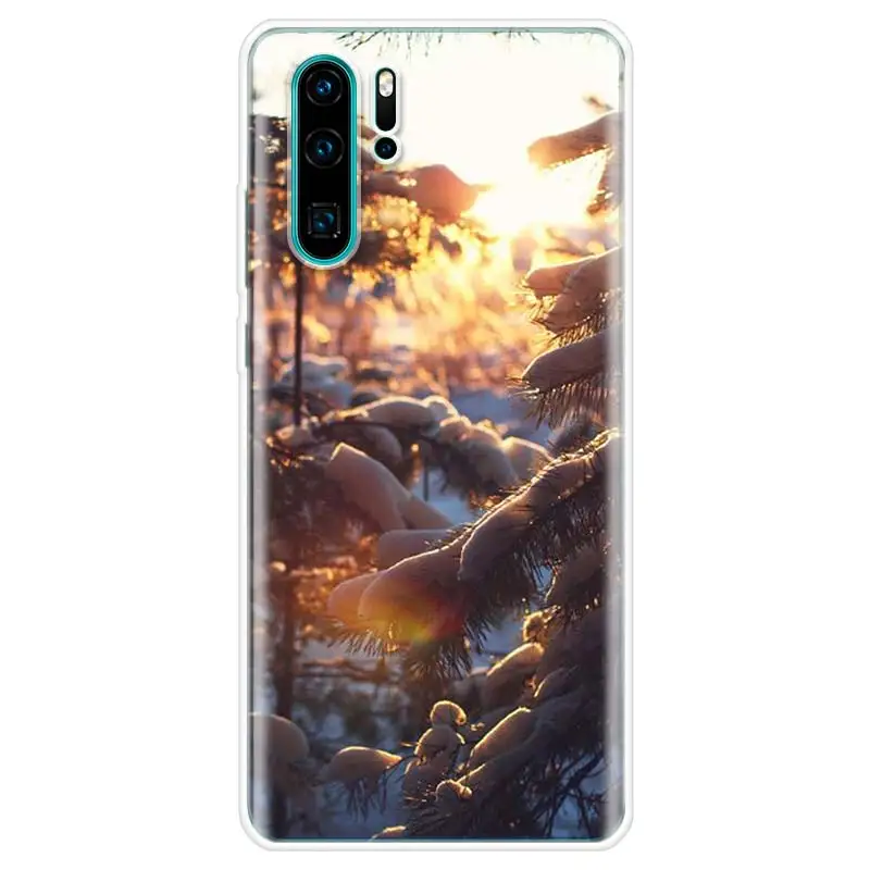 Чехол для телефона с изображением пейзажа и снега Huawei P10 P20 P30 P20Pro P30Lite P30Pro P Smart Z Mate