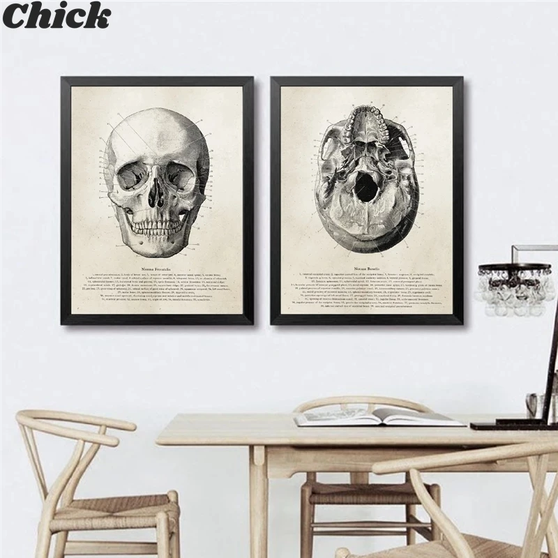 

Human Anatomy Skull Posters And Prints Science Illustration Wall Art Canvas Painting Medical Student Gift Doctor Office Decor