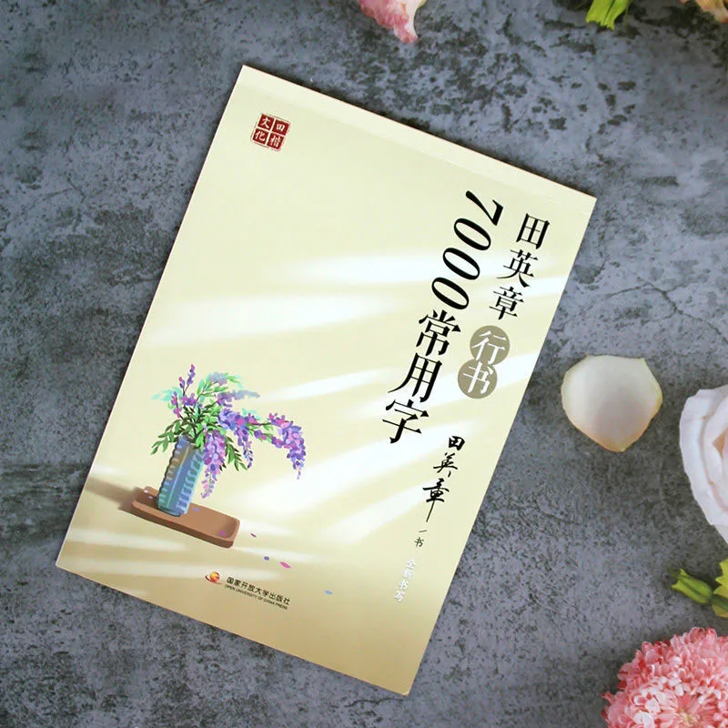 Copybook Xingshu Books Pen Getting Started Sketch Hard Calligraphy Student Adult Sticker Writing Livros Chinese | Канцтовары для