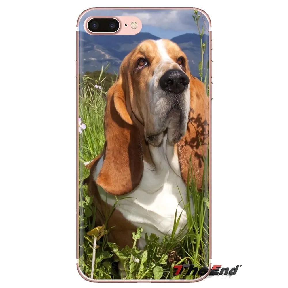 Чехол для мобильного телефона с Бассет-Хаунд обои iPhone XS Max XR X 4 4S 5 5S 5C SE 6 6S 7 8 плюс