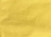mustard--black text Рубашки унисекс в повседневном стиле с короткими рукавами «We out Harriet Tubman» 1849 футболка для девочек, стильные милые топы Harajuku, черные футболки «Lives Matter» - Цвет: mustard--black text