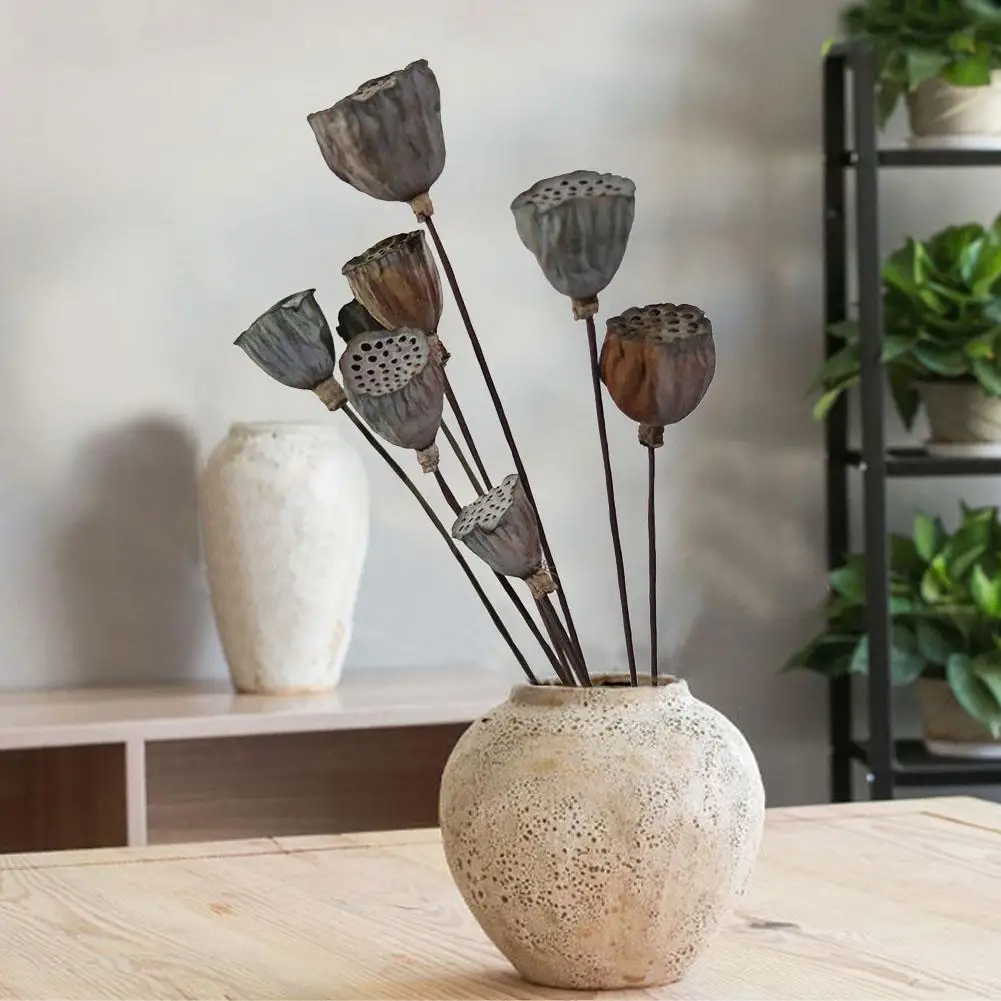 5 шт. натуральный сушеный цветок лотоса украшение для свадебной вечеринки