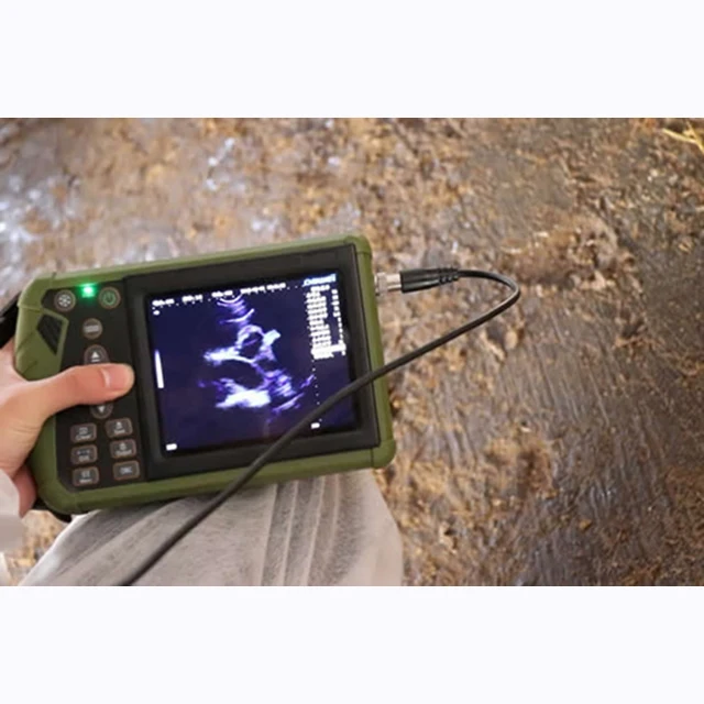 

portable usg for veterinary