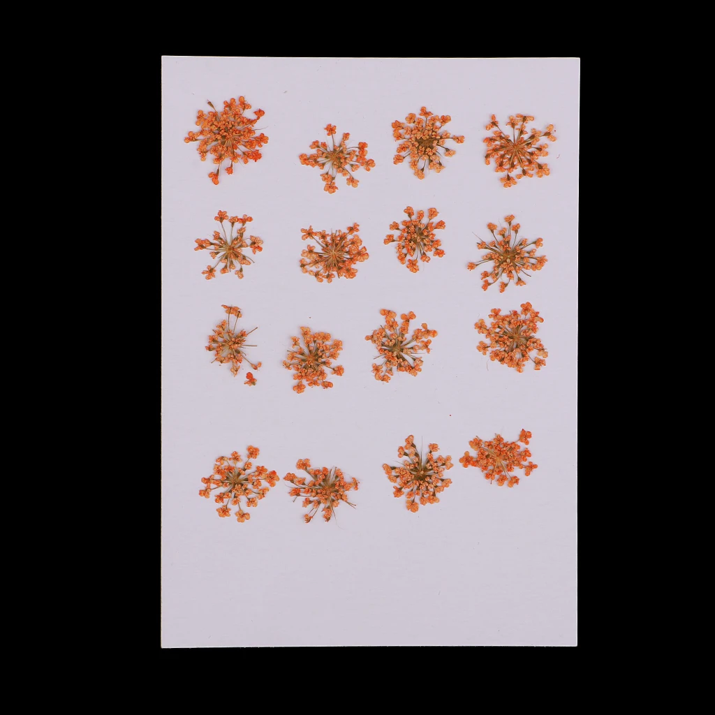 Прессованный высушенный цветок из плоти DIY Художественный Декор Ремесло чехол