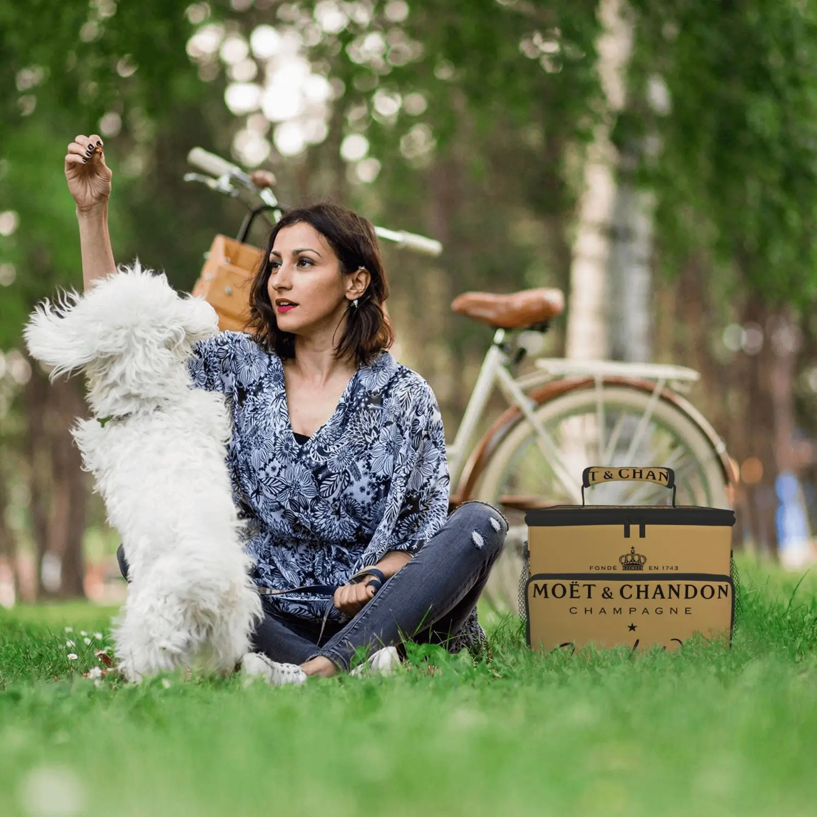 

Moet Champagne Picnic Bag Large Capacity Luxury Lunch Bag Family Pack Refrigerated Shopping Bag lunch tote _hy06