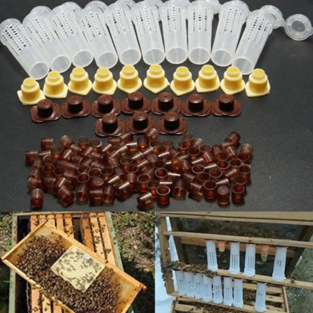 

10 Pcs Bee Cages Beekeeping Rearing Cup Kit Bee Queen Cages Roller Beekeeper Equipment Tool