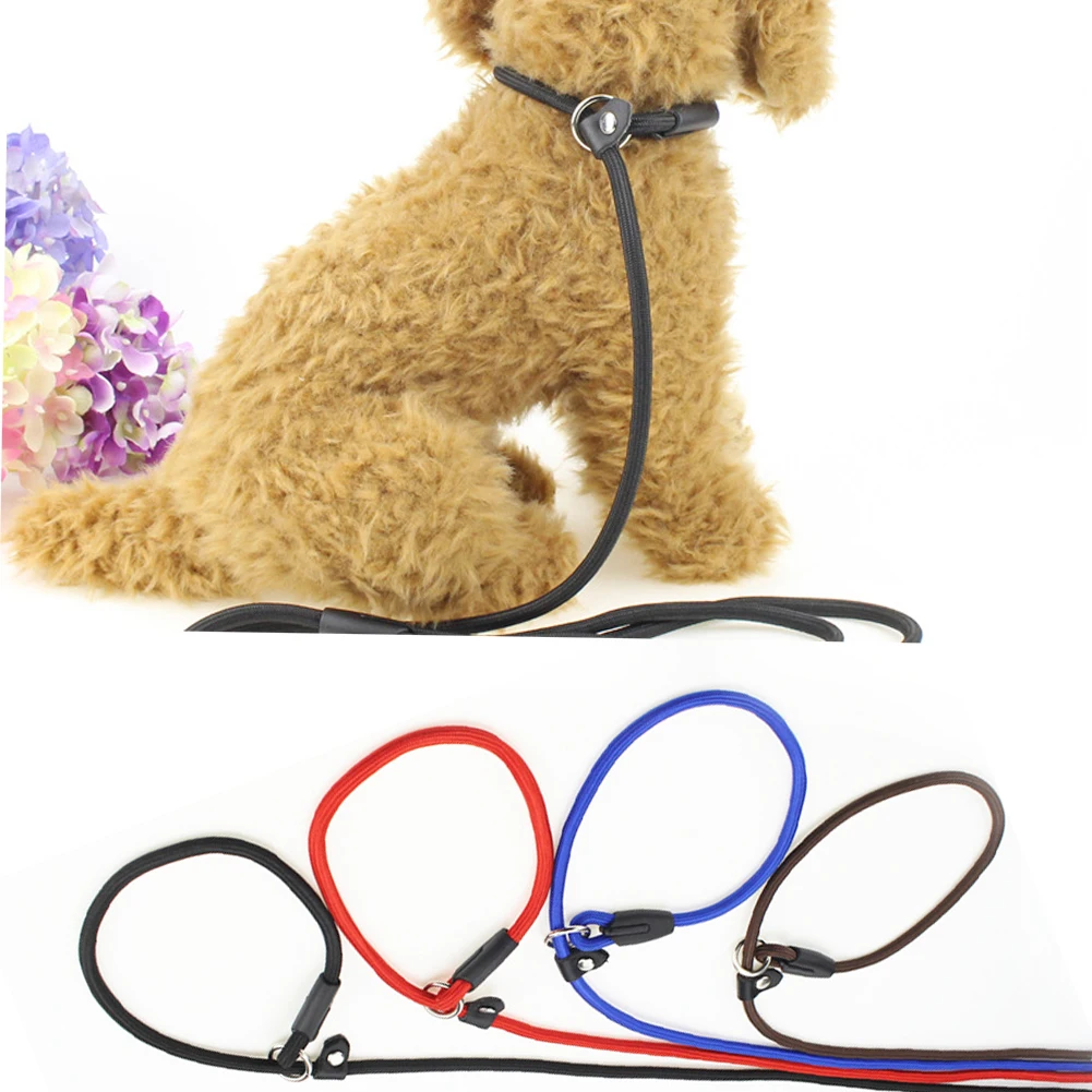 Плотные с пряжкой для прогулок домашних животных аксессуары интегрированный