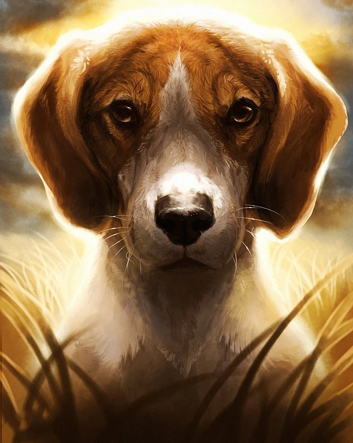 

JMINE Div 5D Puppy Dog полная Алмазная краска для вышивки крестиком наборы художественная Высококачественная 3D краска для животных бриллиантами