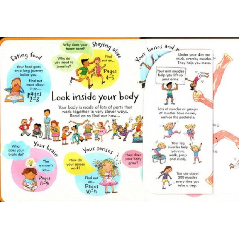 

Usborne Original Children Popular Books Look Inside Your Body Colouring English Activity Story Book for Kids