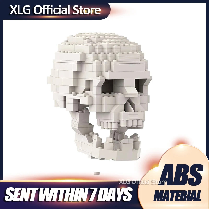 

Skull with brain Creative Series Collection Eudcational Building Blocks Bricks Toys Decoration Model Gifts