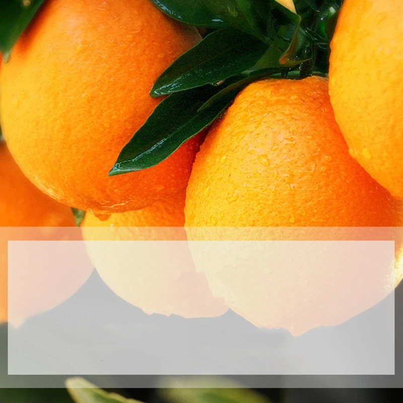 Средство для пилинга ног 100 мл | Красота и здоровье