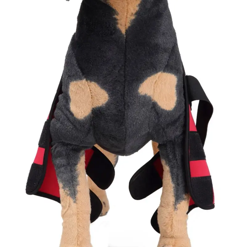 2 звеньев повязки для защиты локтя собаки|Аксессуары собак| |