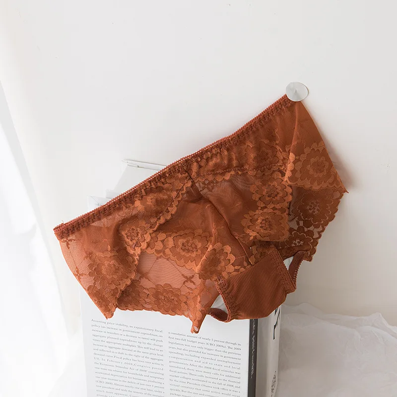 

Women's Sexy Underwear Lace Perspective Panties Women's Mesh Pure Color Briefs Low Waist Sexy Underpants Female Cotton Lingerie