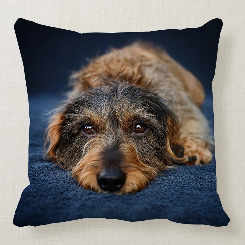 1 шт. 45*45 см милая собака подушка чехол Wirehaired подушки с таксой диван кровать автомобиль подушка чехол Спальня украшение в виде таксы Подушка бухта