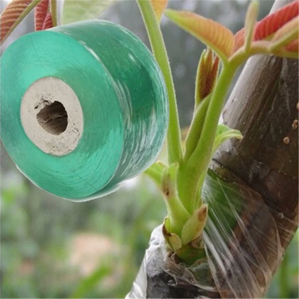 

Grafting Tape Stretchable Moistureproof Self-adhesive Clear Floristry Film for Pecans Walnuts Citrus Avocado Fruits Tree (2.5mm