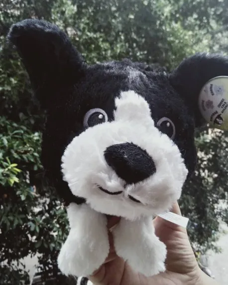 

Funny Forests Sweetie Piotrys Frania Wiola Celinka Dyzio Sonia Plush Stuffed Animals Soft Toy For Children Birthday Gift