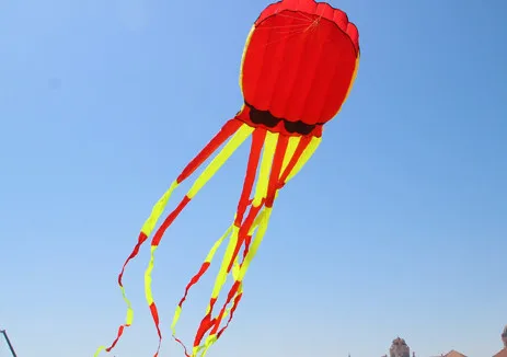 Новое поступление высококачественные воздушные змеи Осьминог 3D мощностью 10 м