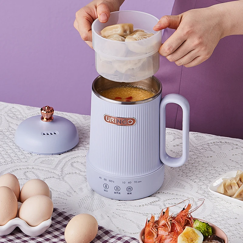 

600ml Electric Kettle Boiled Water Tea Pot Health Preserving Pot Stew Cup Heating Cup Desktop Mini Kettle For Office Home 220V