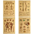 Плакат с диаграммой позвоночника, Анатомия человека, плакаты с изображением коленных суставов и стоп, Картина на холсте, настенное украшение для комнаты, дома