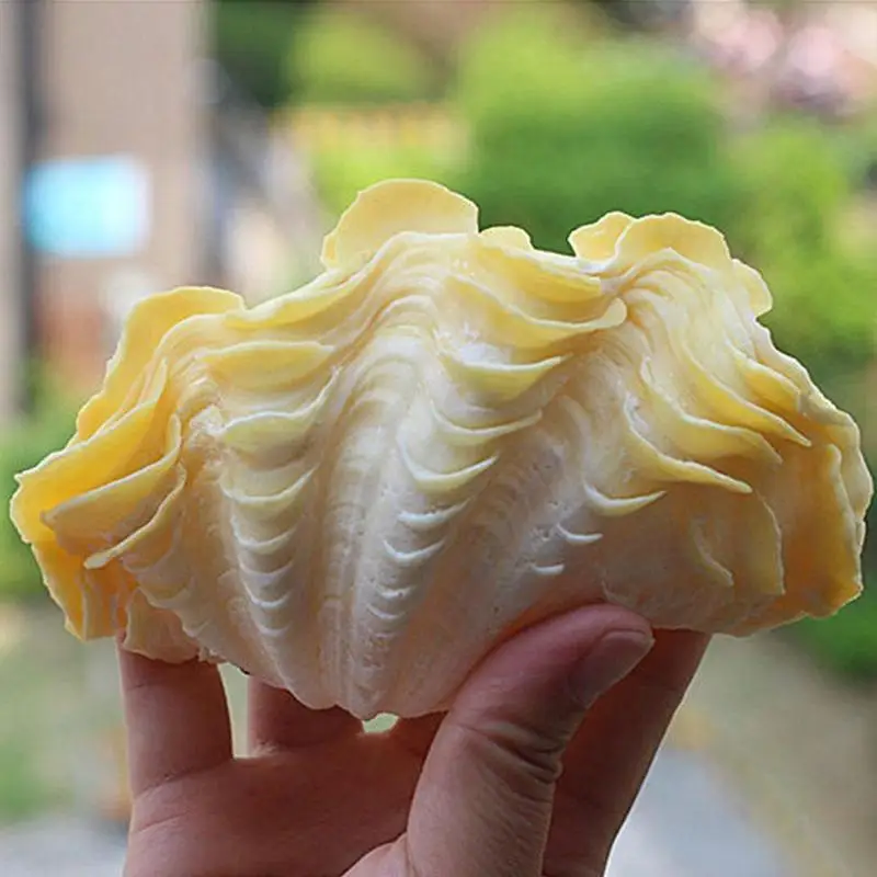 

Natural Shell Decorations Country Garden Decoration Office Decorations Weddings Home Decorations 2021 Hot Sale