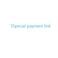 special payment link