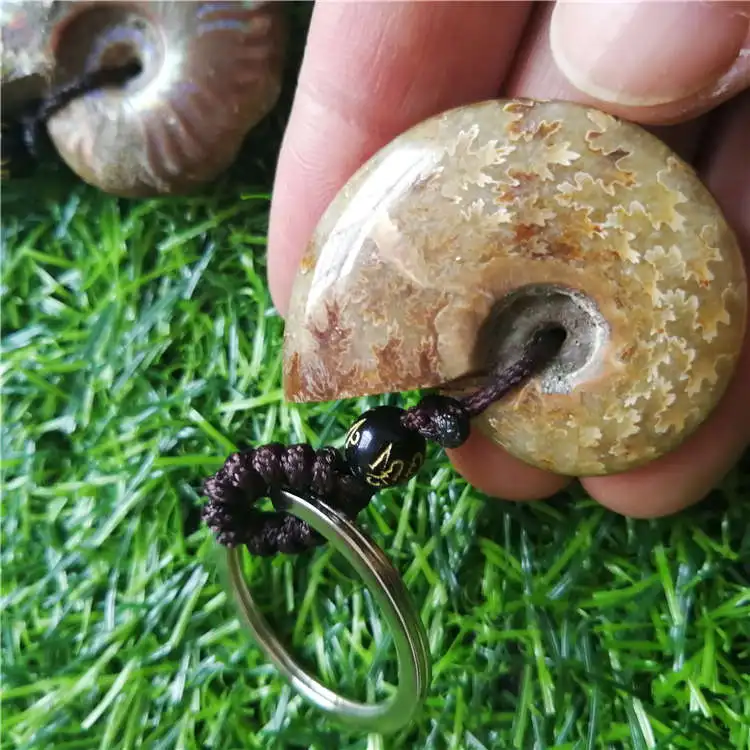 Beautiful Natural Stone Ammonite Fossils Seashell Snail keychain Ocean Reliquiae Conch Animal Necklaces Statement Men Jewellery | Украшения