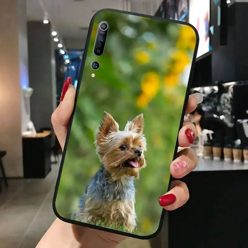 

Yorkshire terrier dog Phone Case For redmi 5 6 7 8A plus 4x note 4 8 9 10 pro Cover Fundas Coque