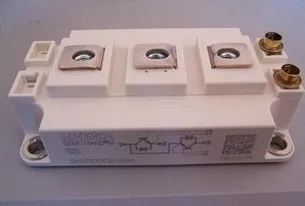 

SKM300GB12V